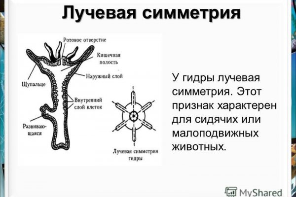 Кракен дарк оригинал ссылка